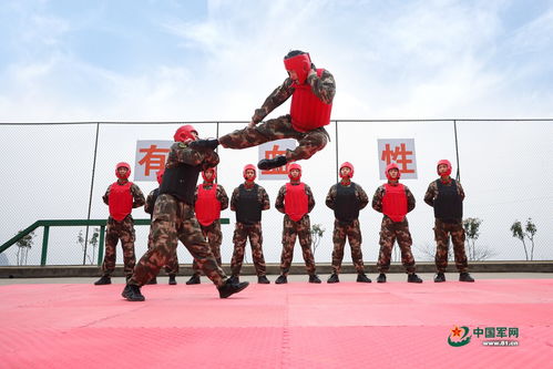 熱血鑄就忠誠(chéng) 武警某支隊(duì)訓(xùn)練高清大圖紀(jì)實(shí)